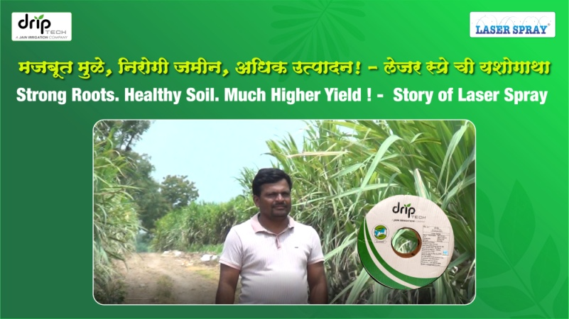Rain Pipe for Sugarcane